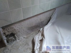 装修防水施工 堵漏产品选择及使用注意事项全解析